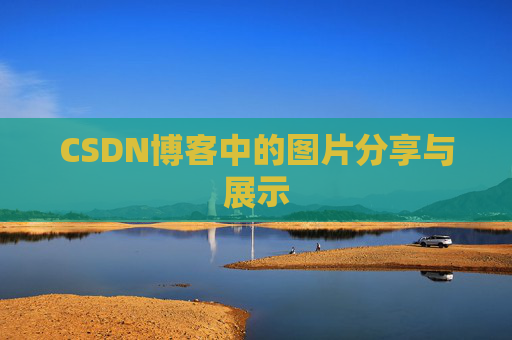 CSDN博客中的图片分享与展示